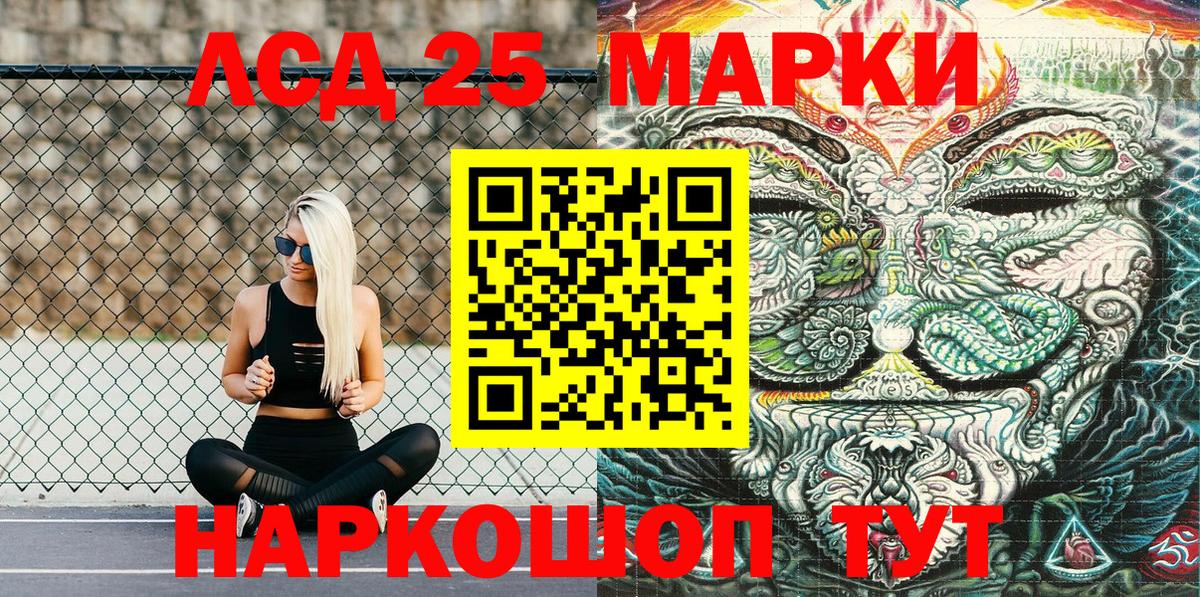 Щёлково  купить наркотик  Вход с VPN  Марки N-bome 1500мкг  Марки N-bome 1500мкг 