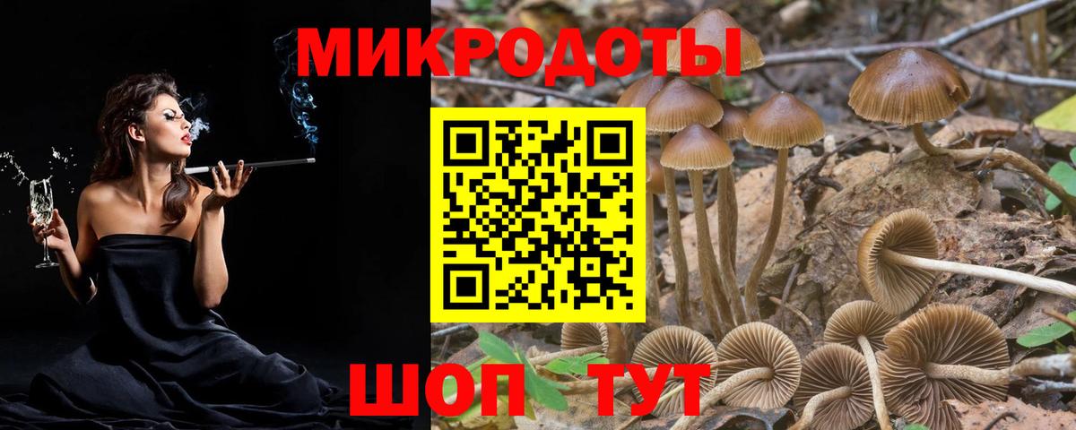 Псилоцибиновые грибы мухоморы  магазин продажи наркотиков  Щёлково  Псилоцибиновые грибы Cubensis  Вход с VPN 
